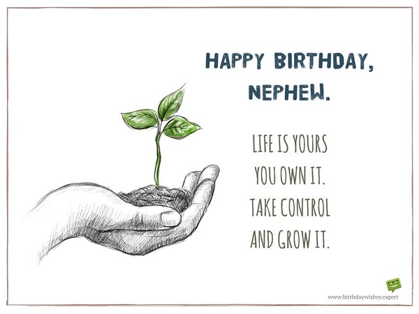 Life Is Yours You Own Nephew Birthday Wishes Life Is Yours You Own Nephew Birthday Wishes