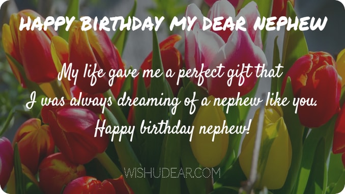 My Life Gave Me A Perfect Nephew Birthday Wishes My Life Gave Me A Perfect Nephew Birthday Wishes