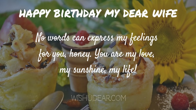No Words Can Express My Feelings Wife Birthday Wishes No Words Can Express My Feelings Wife Birthday Wishes